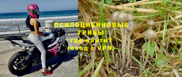 герыч Кинешма